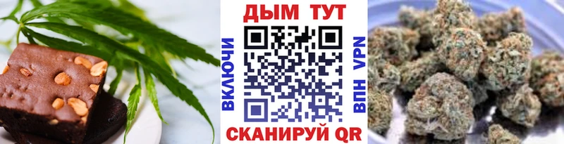 Canna-Cookies марихуана  Купить  Прохладный 