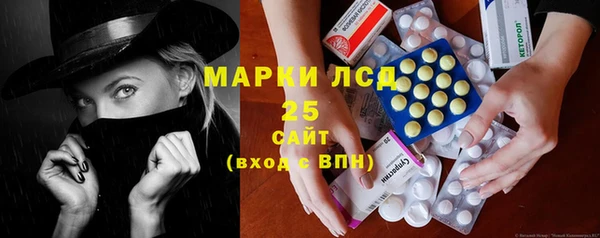 мдпв Горнозаводск