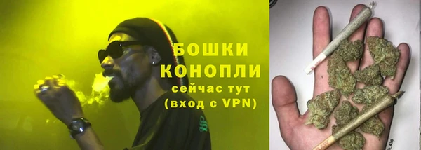 мдпв Горно-Алтайск