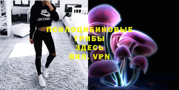 меф Горняк