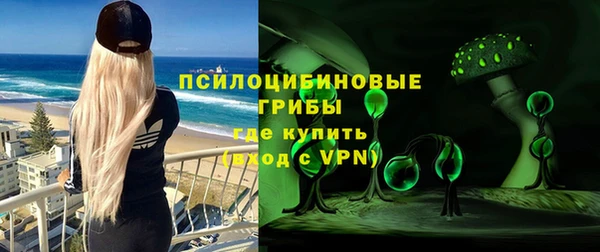 мдпв Горно-Алтайск